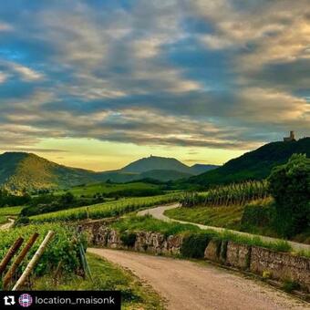 Hostal Chambre Double Dans Auberge Alsacienne