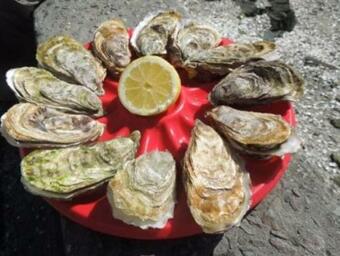 Hostal La Closerie De Sens