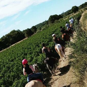 Hotel Les Pr�s Du Roi