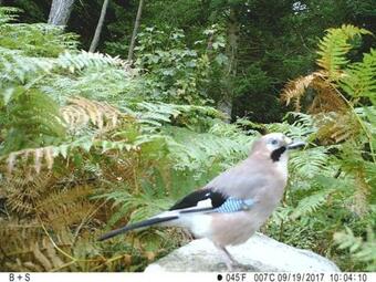 Posada Bellevue Chambres D'h�tes