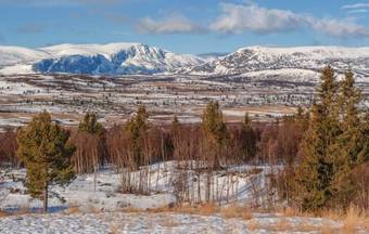 Holiday Home Vang I Valdres Skogheim II
