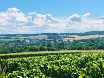 Apartamento Appartement Villenauxe-la-grande, 1 Pi�ce, 2 Personnes - Fr-1-543-107