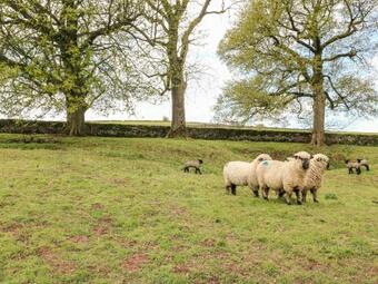 River Lodge, Ashbourne
