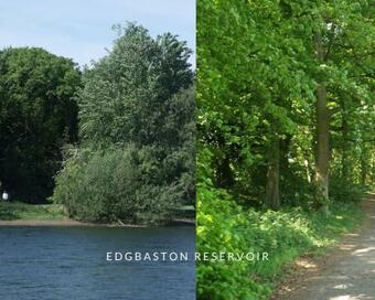 Apartamento Birmingham 2bed House