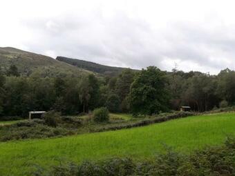 Cosy Woodland Off Grid Shepherds Hut - Rowan