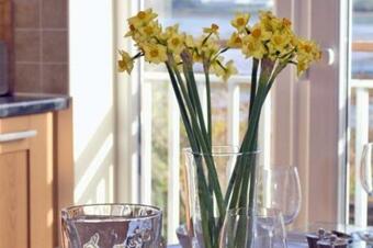 Saltings Loft Apartment 1