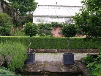 Apartamento The Garden Studio