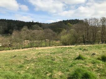 Yeovil Accomodation Business & Pleasure