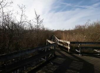 Hostal Regency Guest House