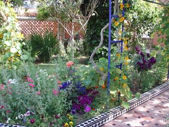 Hotel H�tel L'hippocampe