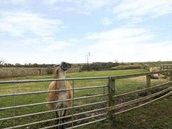 Barforth Hall Cottage