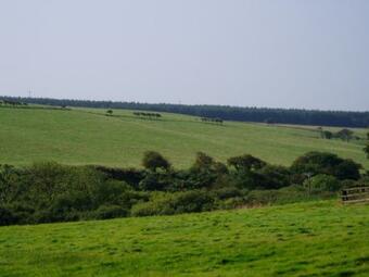 Smugglers Cove Cottage