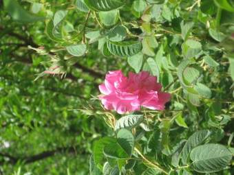 Hotel Mandar Saghrou Tazakht