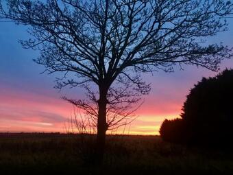 Luxury Glamping Tent