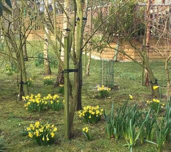 Hollicarrs - Stag Lodge