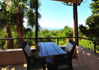 Hostal Room In Guest Room - Traditional Hotel For Relaxation And Rejuvenation
