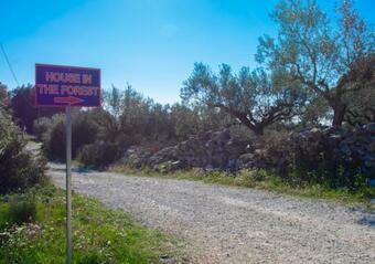 Private House In The Forest