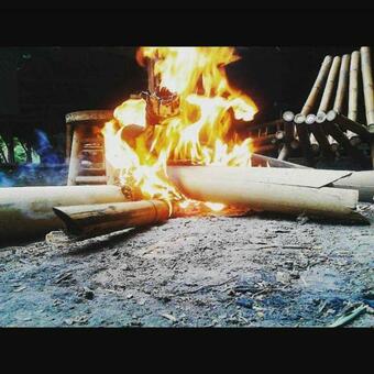 Agroturismo Bel�n Vivero Caf�