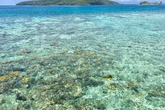 Villa Luxurious Round Cay