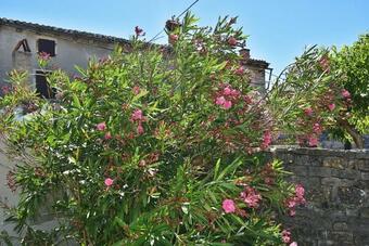 Holiday Home Oleandar