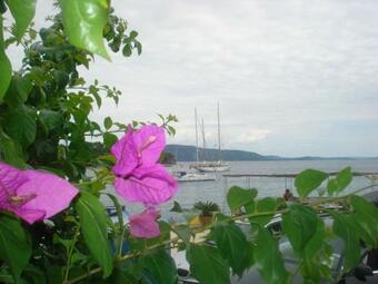 Apartments Davor - 20m From Sea