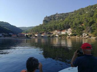 Apartments Zaninovic