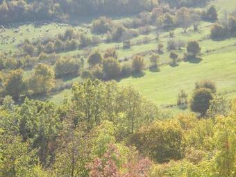 Vacation House Dunja