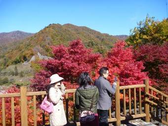 Kashiwaya Ryokan Shima Onsen