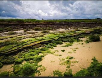 Apartamento The Cuddly Cow