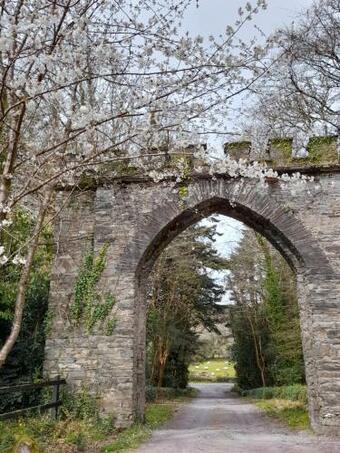 Bed & Breakfast The Black Hare