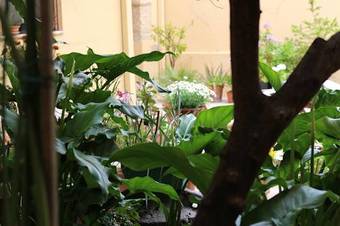 Bed & Breakfast Fiori E Limoni