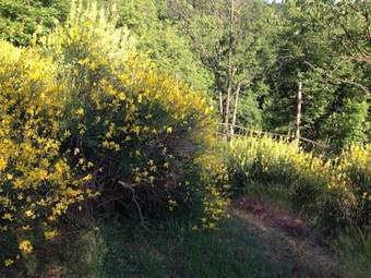 B&B Al Giardino Dei Mandorli