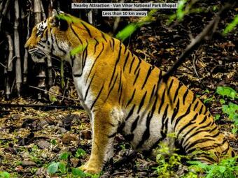 Oyo 46252 Hotel Yuvan