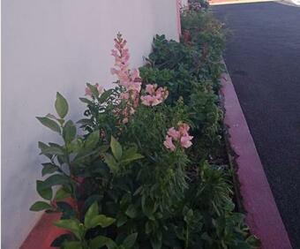 Hotel Sulawado Resort