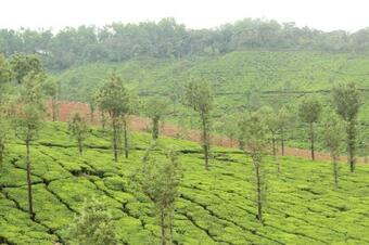 Lodge Vamoose Mugilu Mane