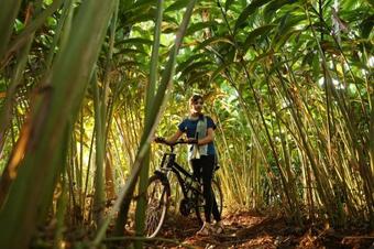 Hotel Nigara Residency