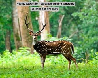 Oyo 79355 Collection O Hotel Adona