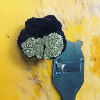 Agroturismo Agriturismo Accipicchia