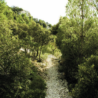 Hotel Castello Malicas