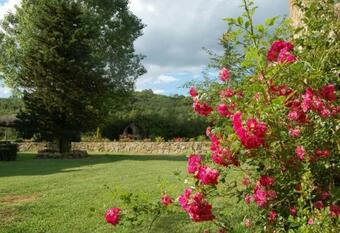 Badia Agnano Villa Sleeps 12 Pool Wifi