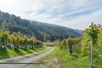 Apartamento Villa Vogelnest