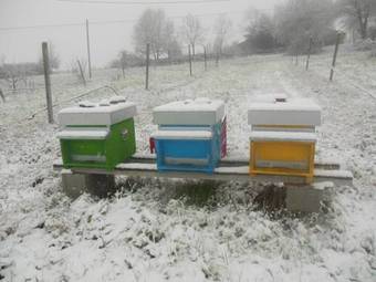 Agroturismo Il Casale Del Sapere E Del Sapore