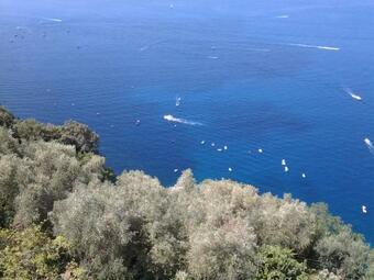 Apartamento Casa Costanza