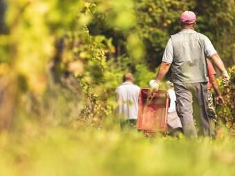 Bed & Breakfast Tenuta Miranda