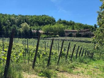 Agroturismo Tenuta Pian D'attesio - Agriturismo