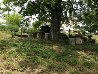 Agroturismo Carrera Della Regina