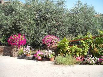 Bed & Breakfast Domu De Palla