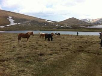 B&B Palazzo La Loggia