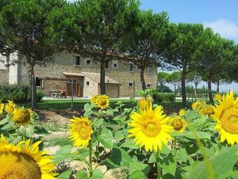 Pietraia Villa Sleeps 4 With Pool And Air Con