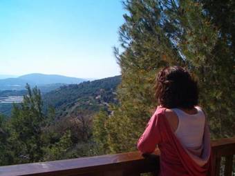 Lodge Zimmers At The Forest